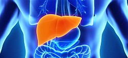 Hepatitis: Inflamación del hígado